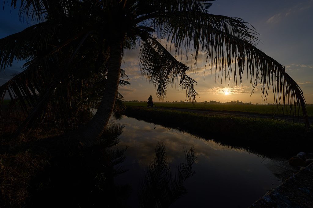 | 16mm | ISO-100 | 1/1000sec | f/8 |